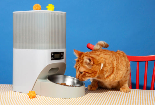 Why Aussie Cat Parents Are Obsessed with Single-Ingredient Fish Treats