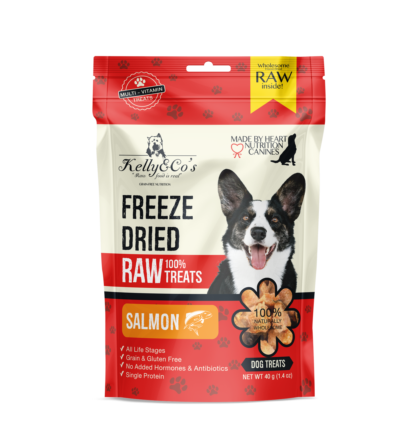 KELLY & CO'S Single Ingredient Atlantic Salmon