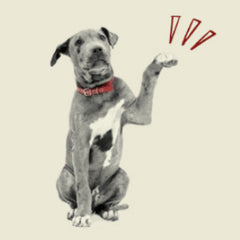 Supports Strong Muscles, Bones & Joints