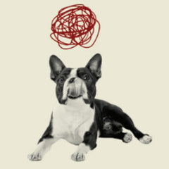 Supports Strong Muscles, Bones & Joints