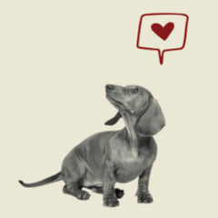 Helps Keep Weight in Check